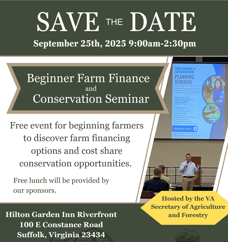 FF Suffolk 缩略图